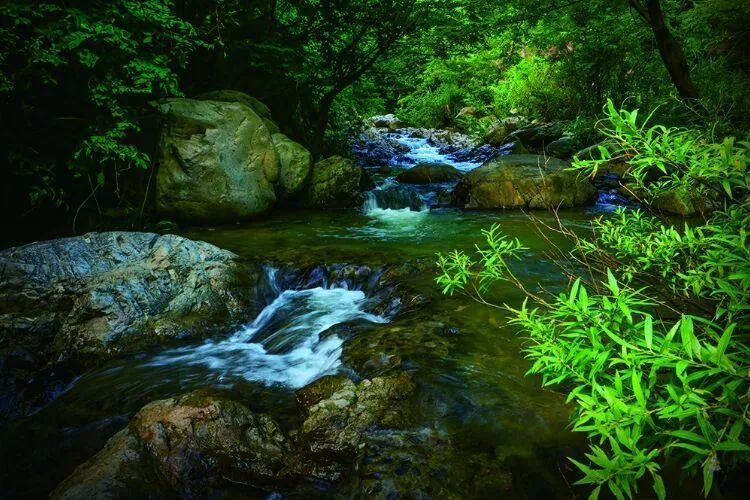 5.19中国旅游日|美好旅程福利来袭