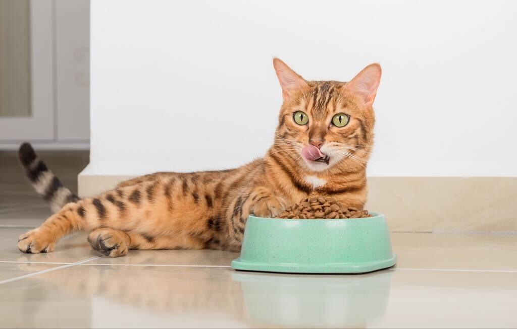 315有问题猫粮有哪些,315曝光宠物猫粮