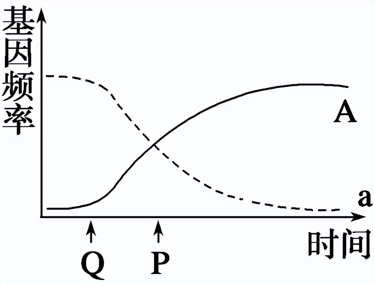 高中生物变异和育种知识点,高中生物变异育种进化思维导图