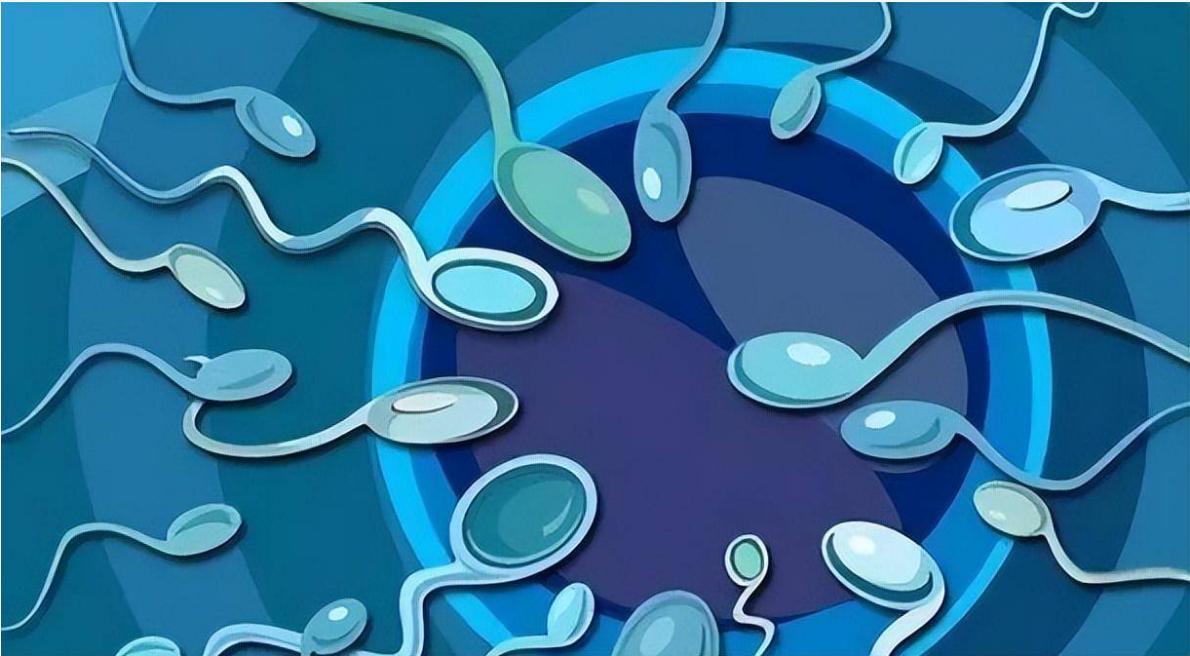 男性长期没“排精”，身体或许会出现这几种变化，早知早受益！