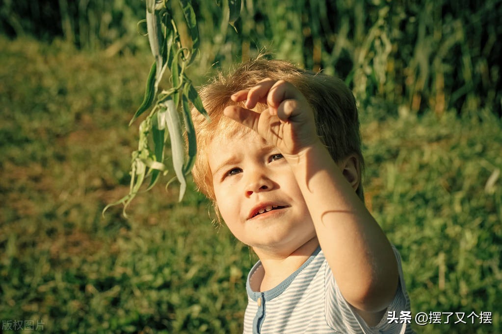 保护眼睛的方法吃什么,保护眼睛的方法缓解视疲劳