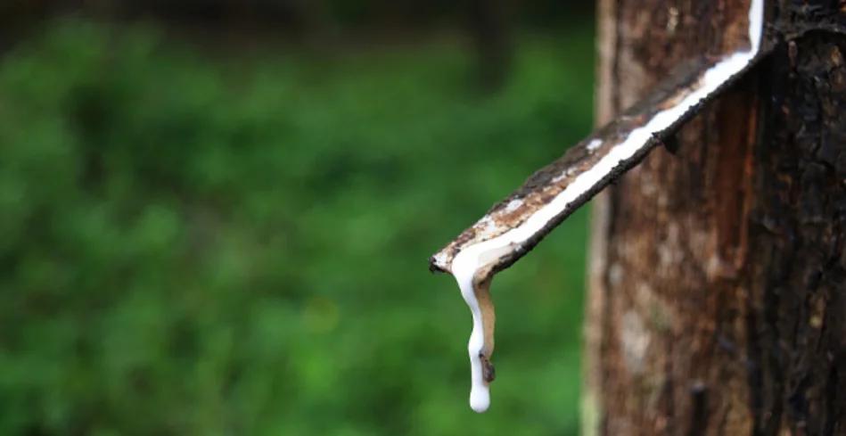 慕思床垫优点在哪,慕思的床垫真的能改善睡眠质量吗