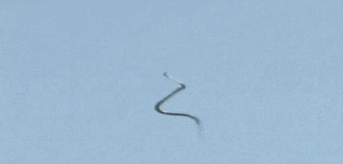 没翅膀会飞的动物,金花蛇飞行原理