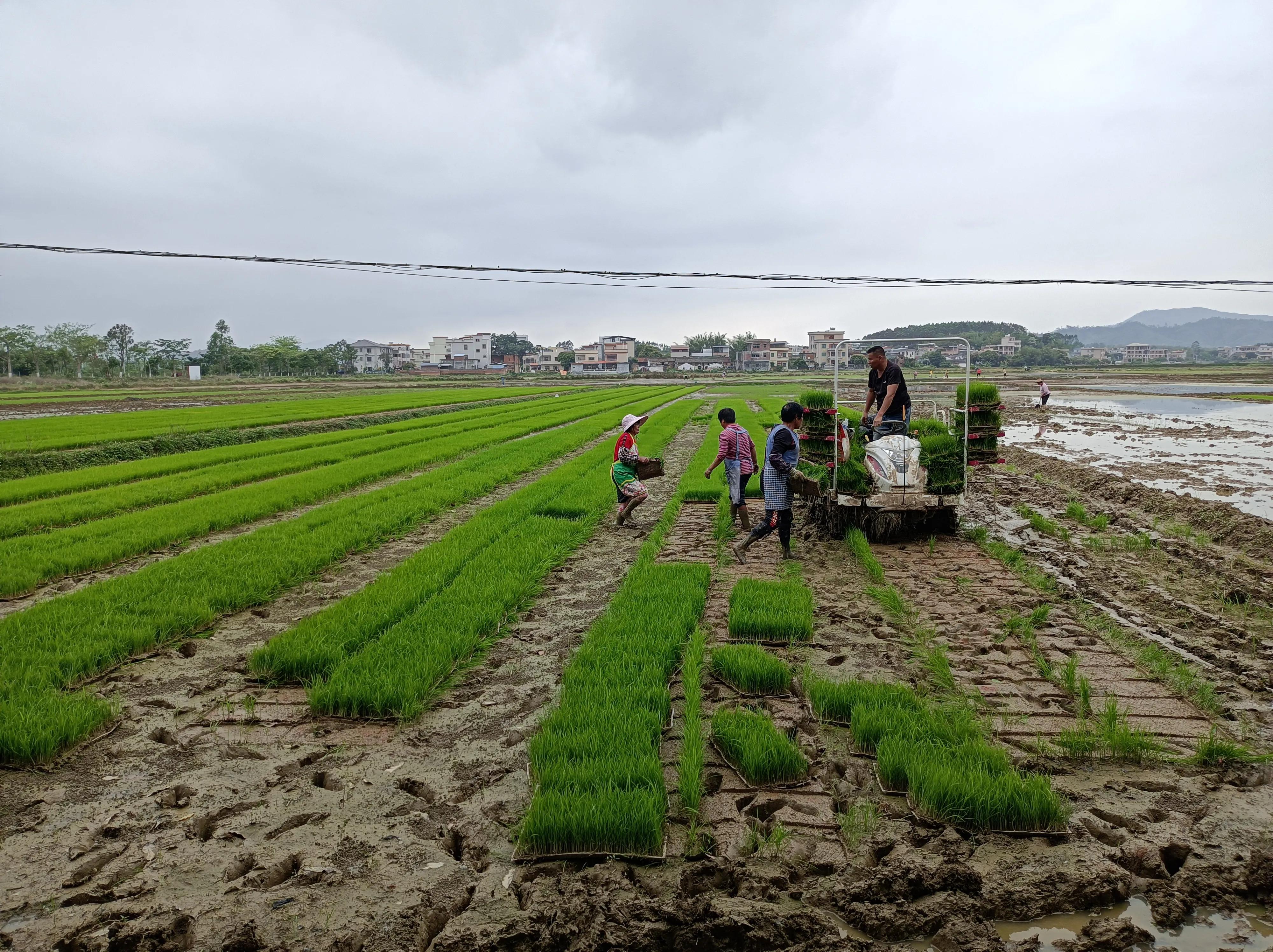 2021年6月13日骑行沽源,2023年11月份骑行活动