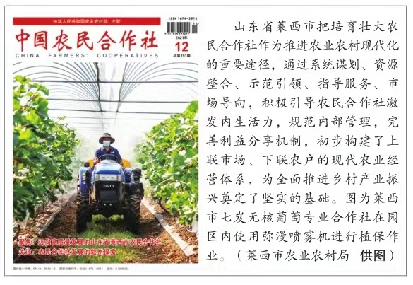 推动农业产业化助力农民致富增收,推动农业社会化服务