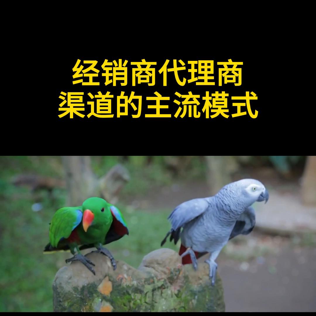 裂变营销思维,裂变营销视频