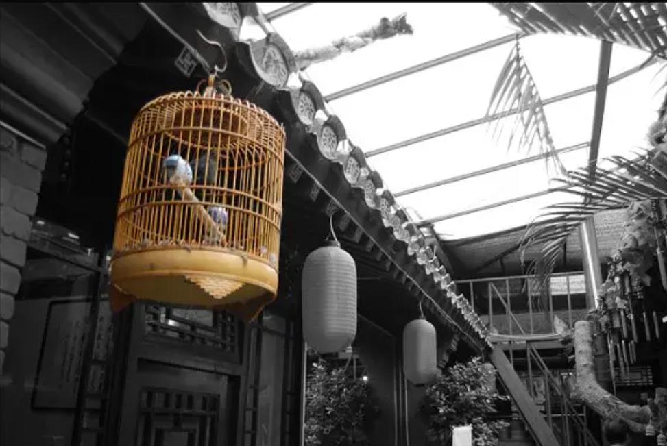 鲁迅先生揭露人性,鲁迅先生的肥皂讲的是什么