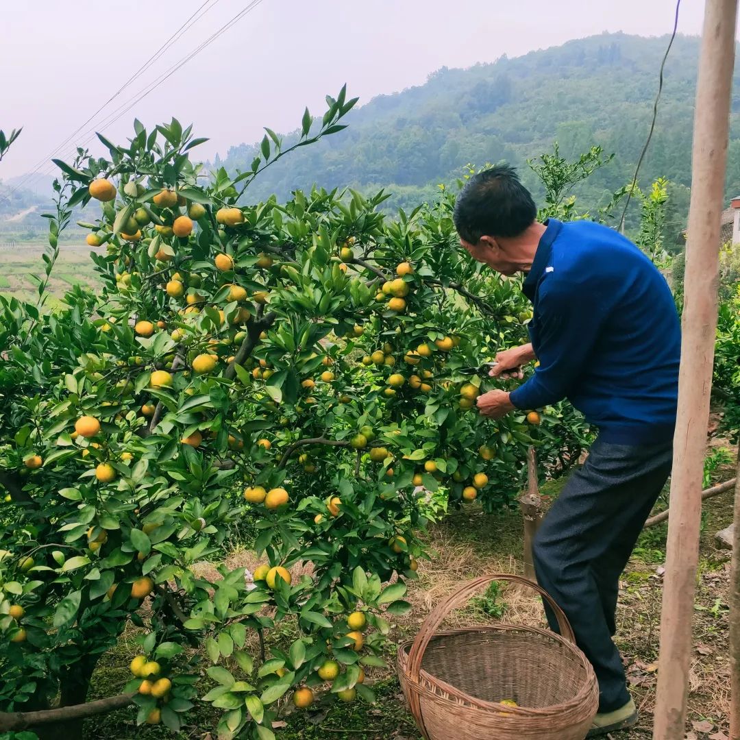 用劳动造福他人——他们花12年修了一条“夫妻路”