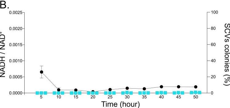 铜绿假单胞菌在氧化还原的小菌落变异机制，适应性策略与生存优势