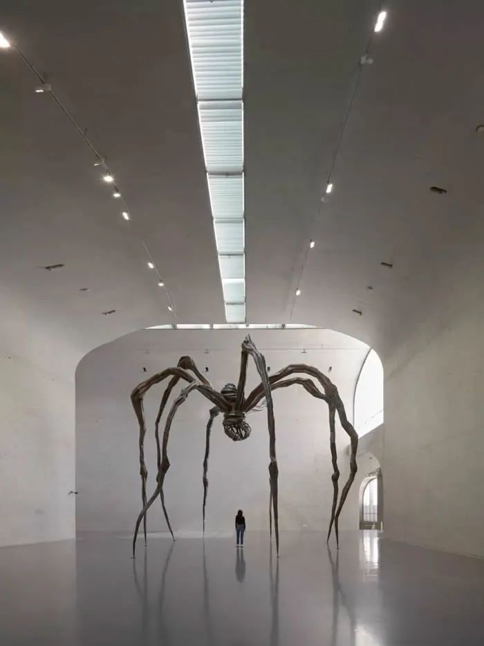 在无情的世界里有情的活着,在无情的世界里有份牵挂