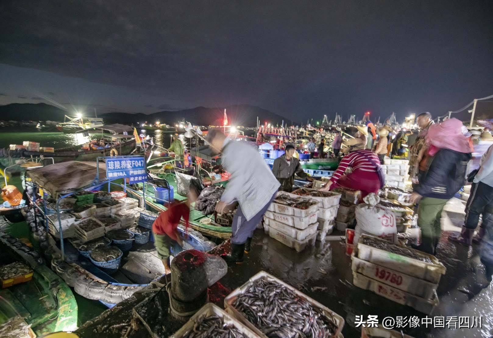 海南陵水新村疍家渔港,海南陵水水产市场