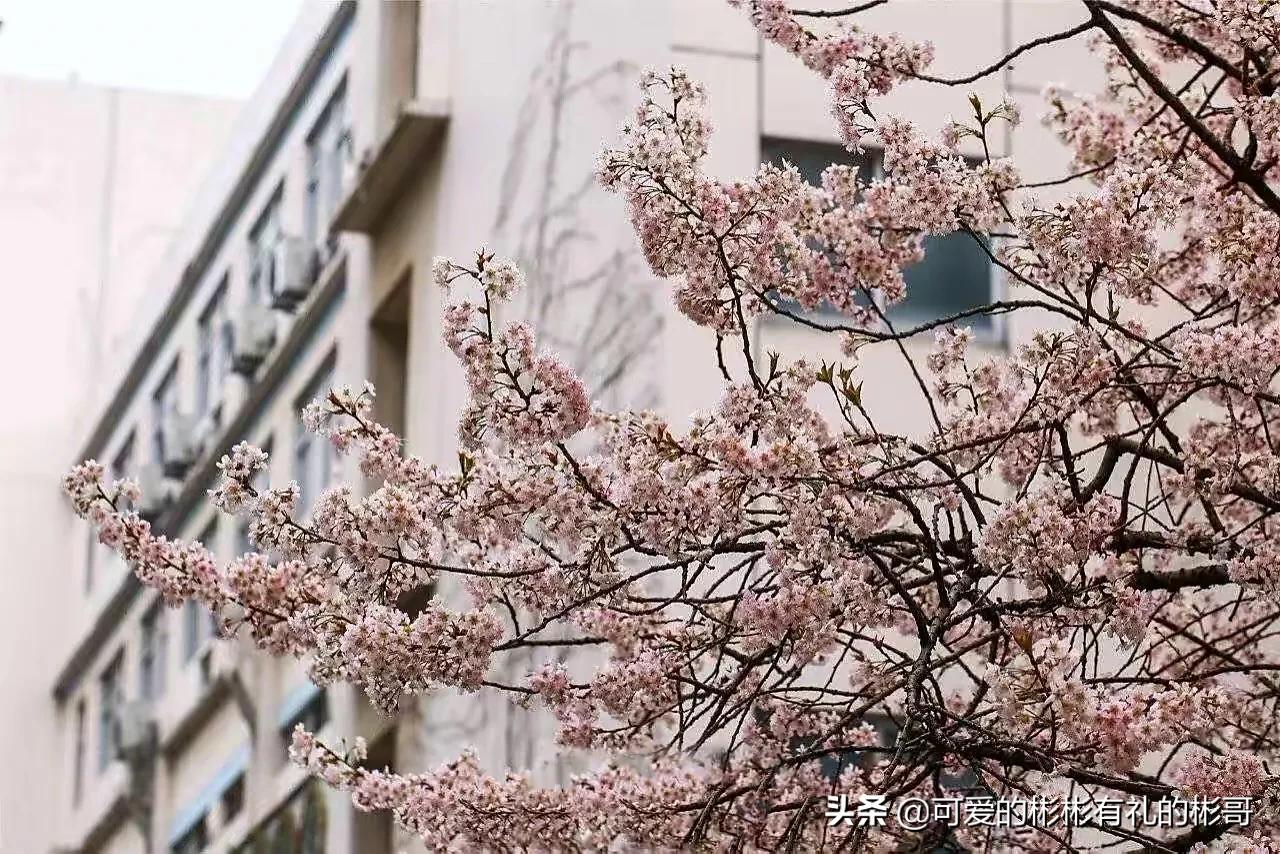 河海大学，老牌水利方向的211院校，是否值得报考