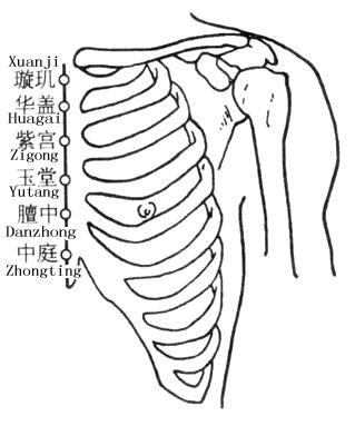 膻中穴的正确读法,膻中穴疼痛的中医辨证