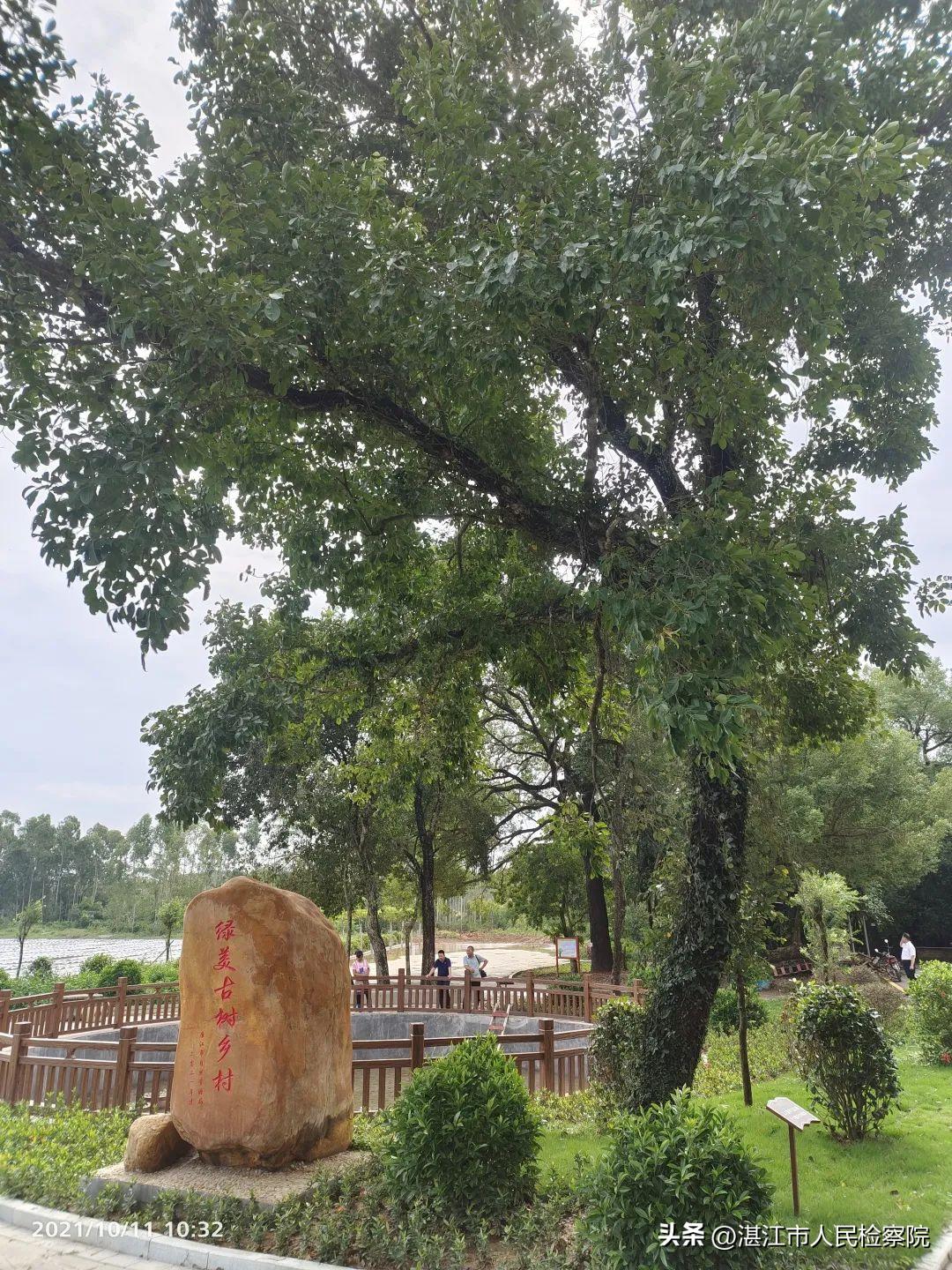 情怀、理念、路径、拼劲、执着、传承——以6个关键词总结湛江市检察院乡村振兴工作