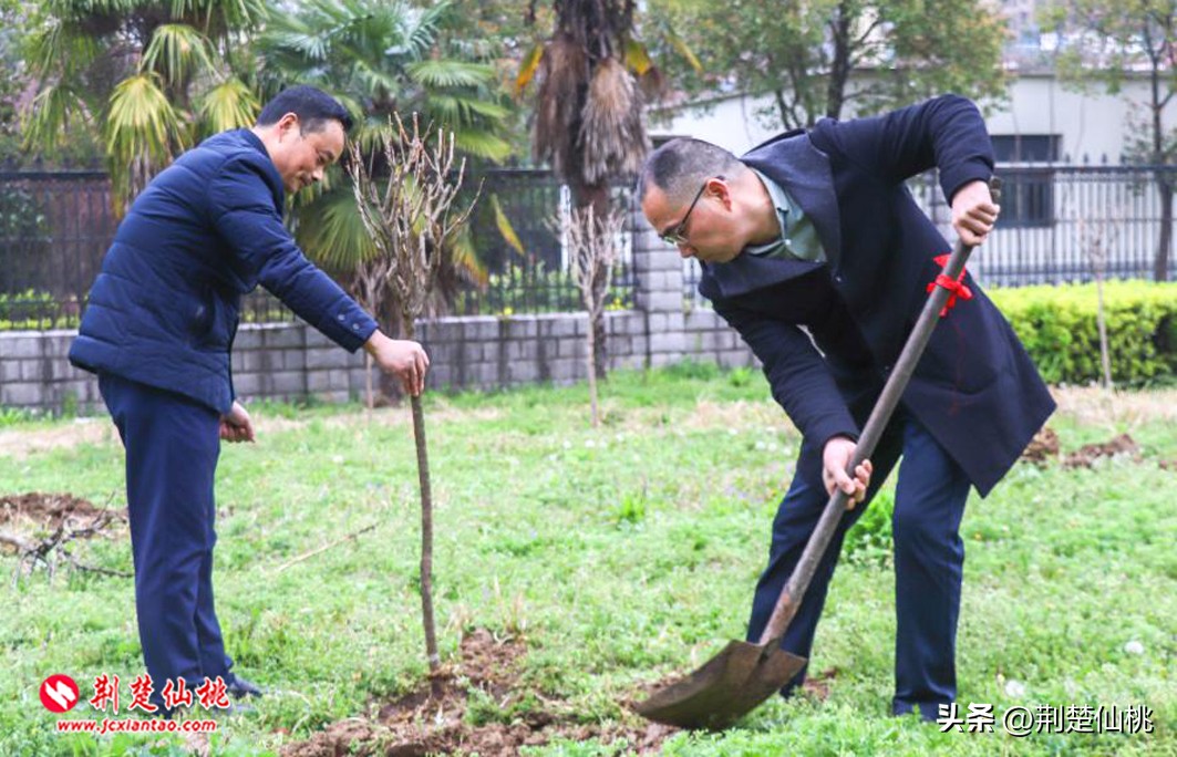 仙桃一中校长讲话,仙桃一中现任校长