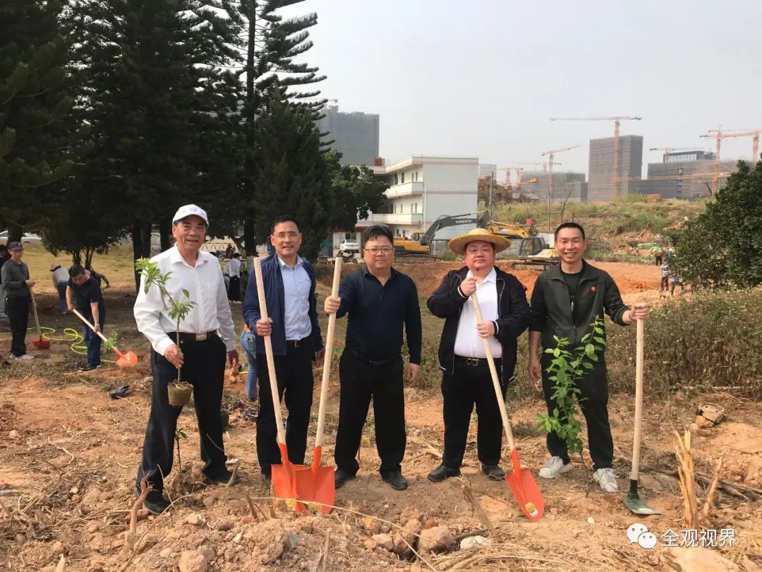 祖地朝歌,广东林氏宗亲到晋江林坚公庙祭祖