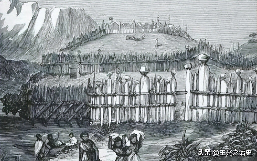 孤悬海外的新西兰，闷声发大财的最好代表