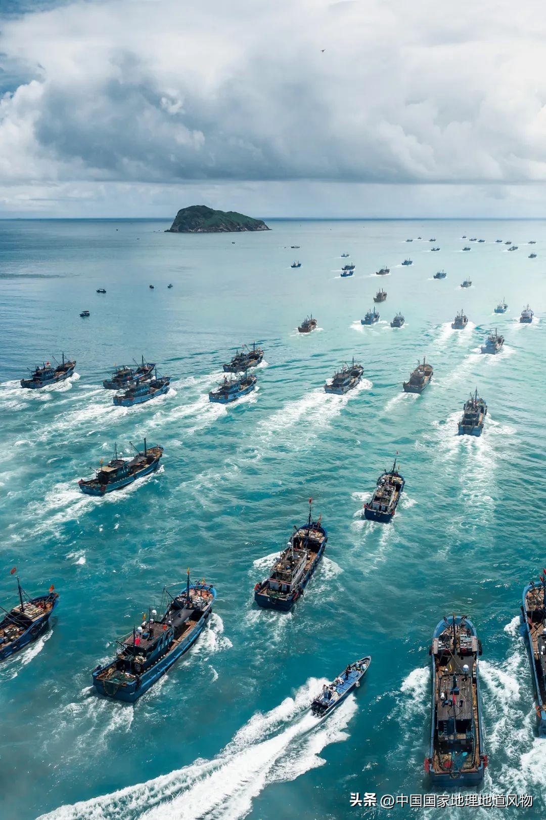 现在的海鲜什么比较好吃,中国哪的海鲜比较好