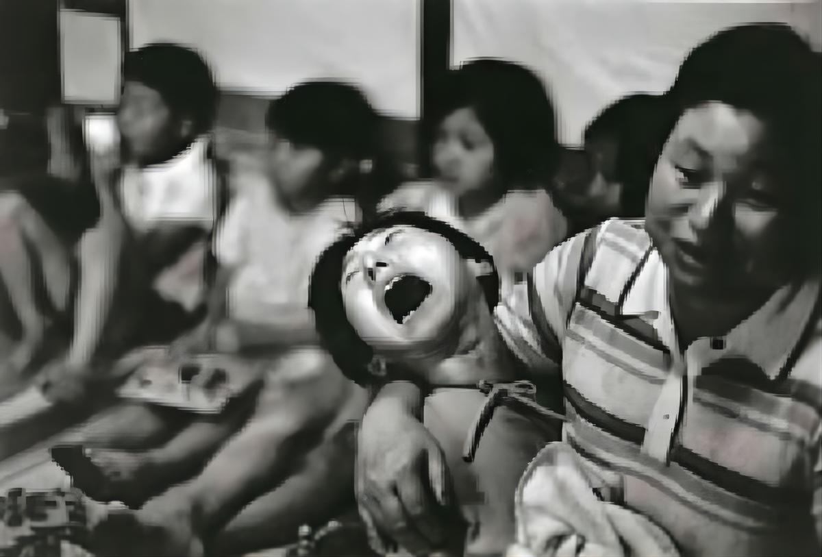 日本猫跳海,日本猫跳海事件