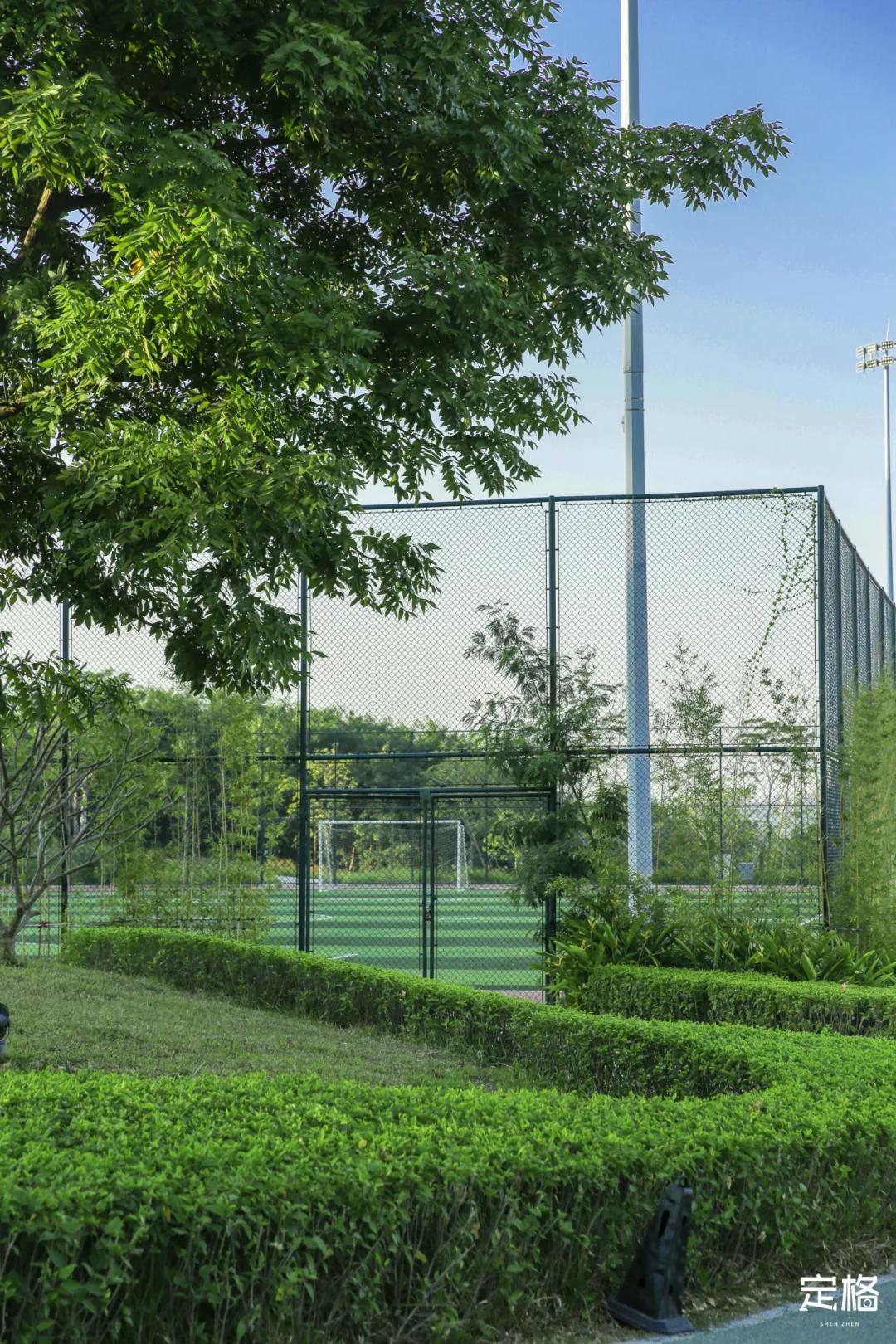 雨林打卡网红地滑梯,深圳哪里有超大型滑梯