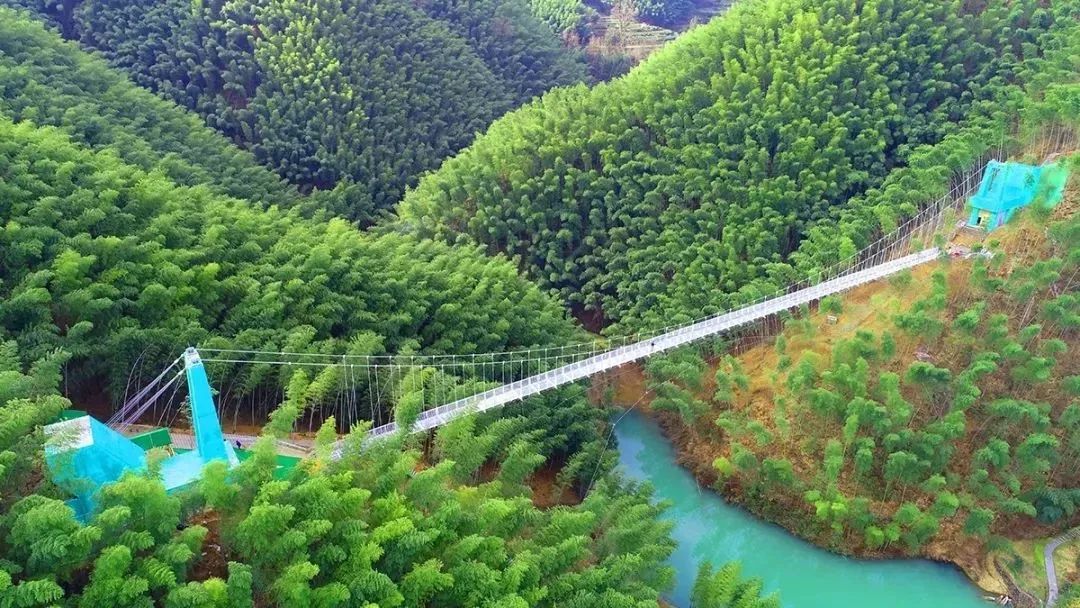 自驾去黄山路线攻略,夏季黄山自驾5条绝美路线攻略