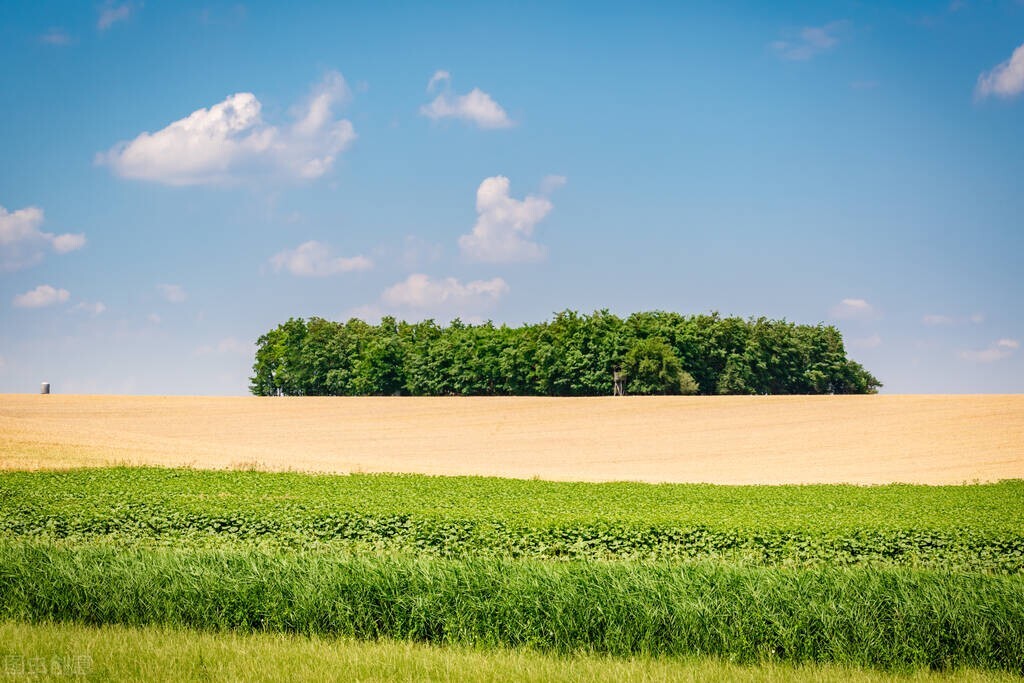 今日竞彩比分4串实单推荐,江原fcvs全北现代