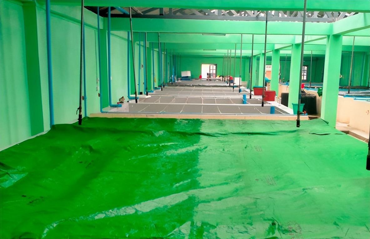 缅甸粮食涨价原因,缅甸玉米养殖成本