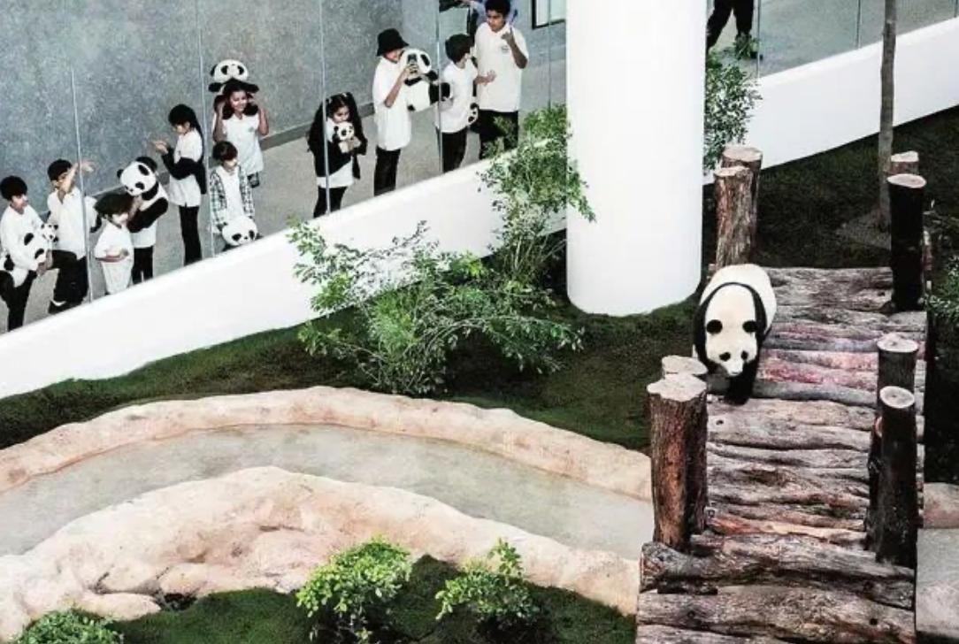 中国裁判亮相世界杯哪场比赛,中国进入世界杯的裁判