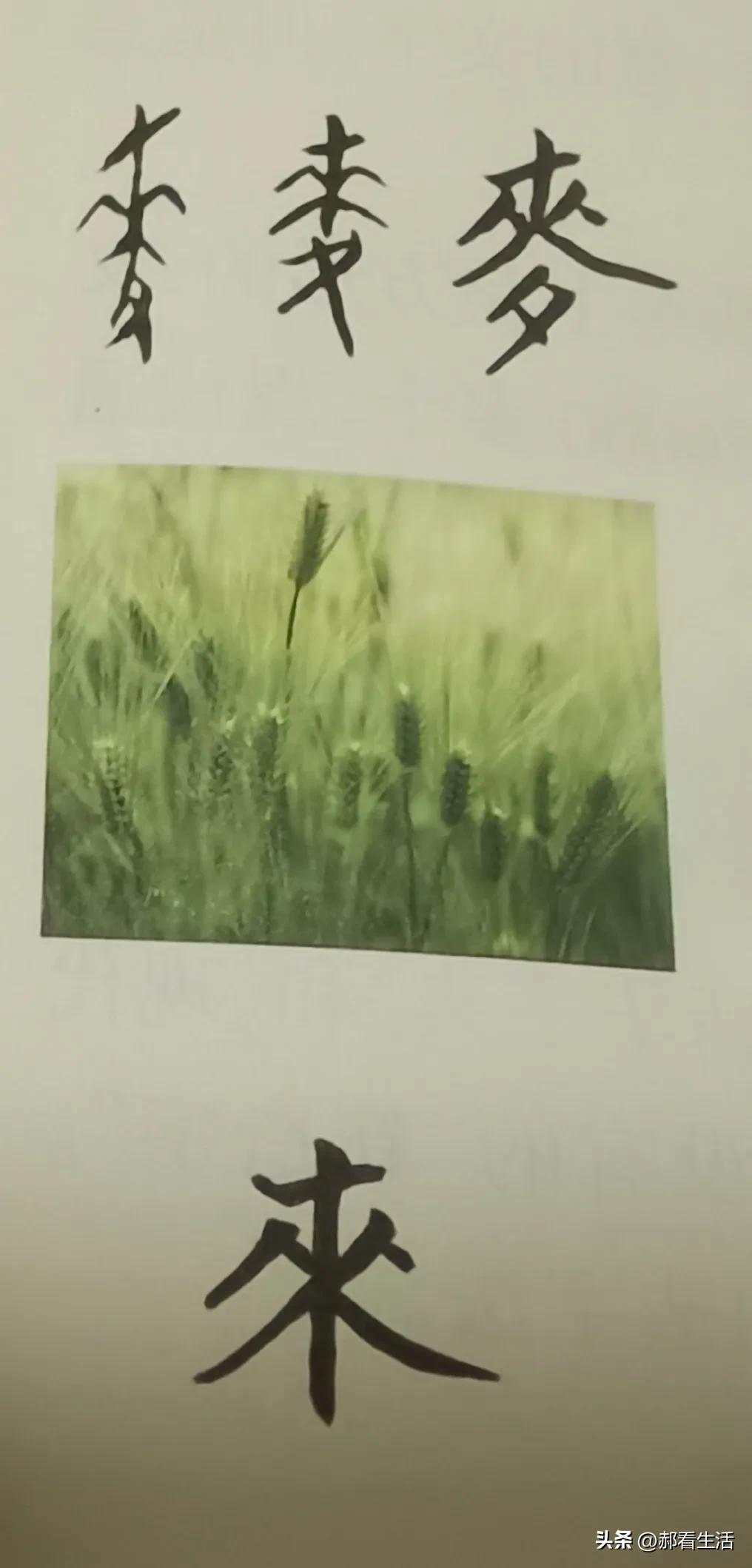 趣说汉字是什么,六书中造字方法怎么区别