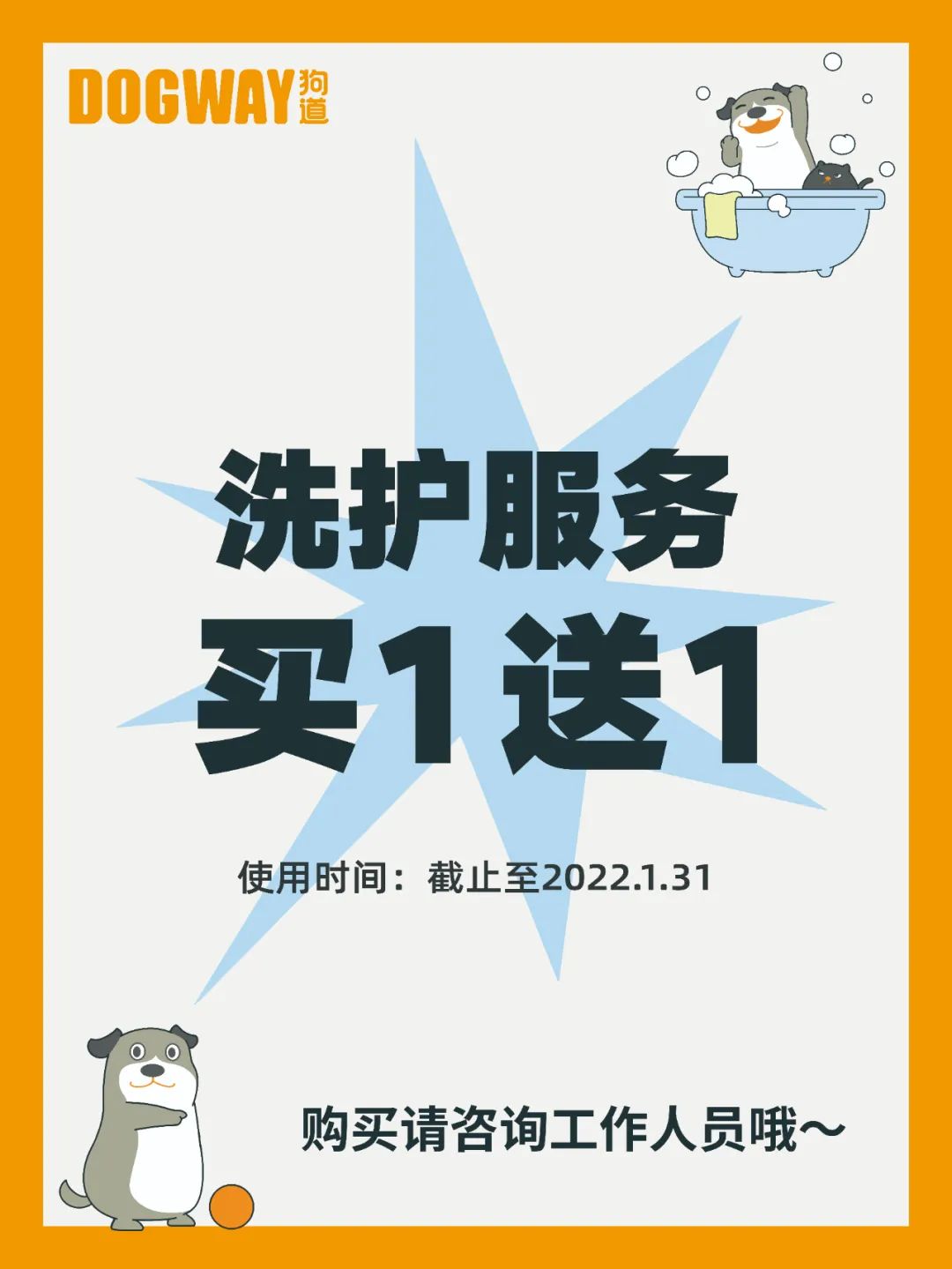 狗道宠物上海嘉定店,狗道宠物百联南方店