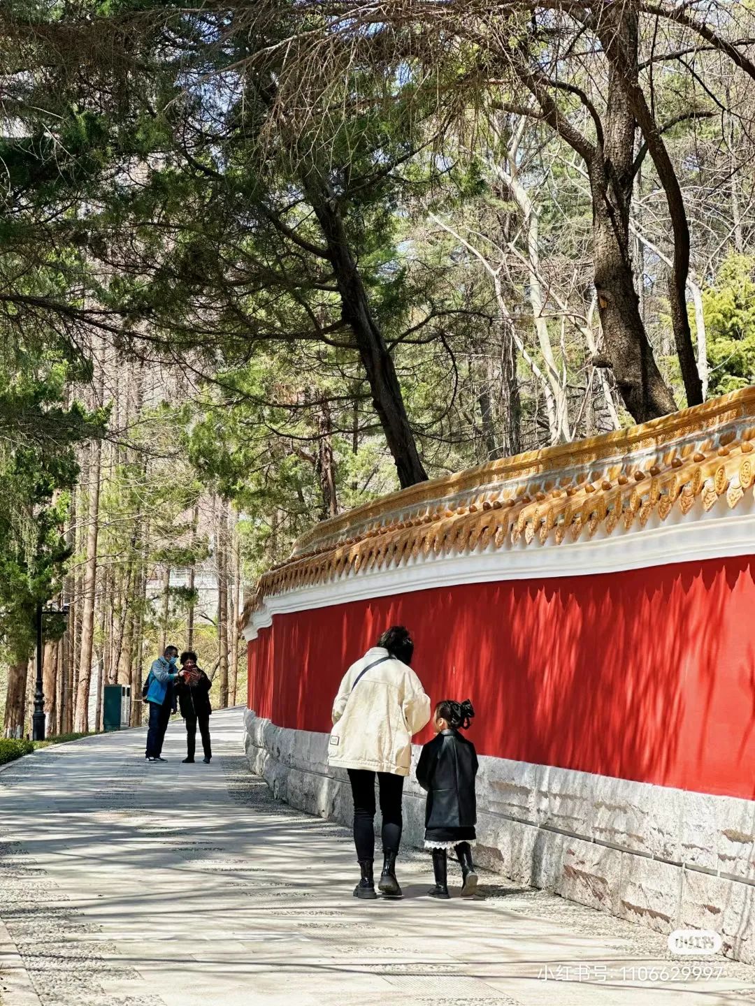 青岛最值得去的拍照打卡地,青岛最适合拍照的十个地方