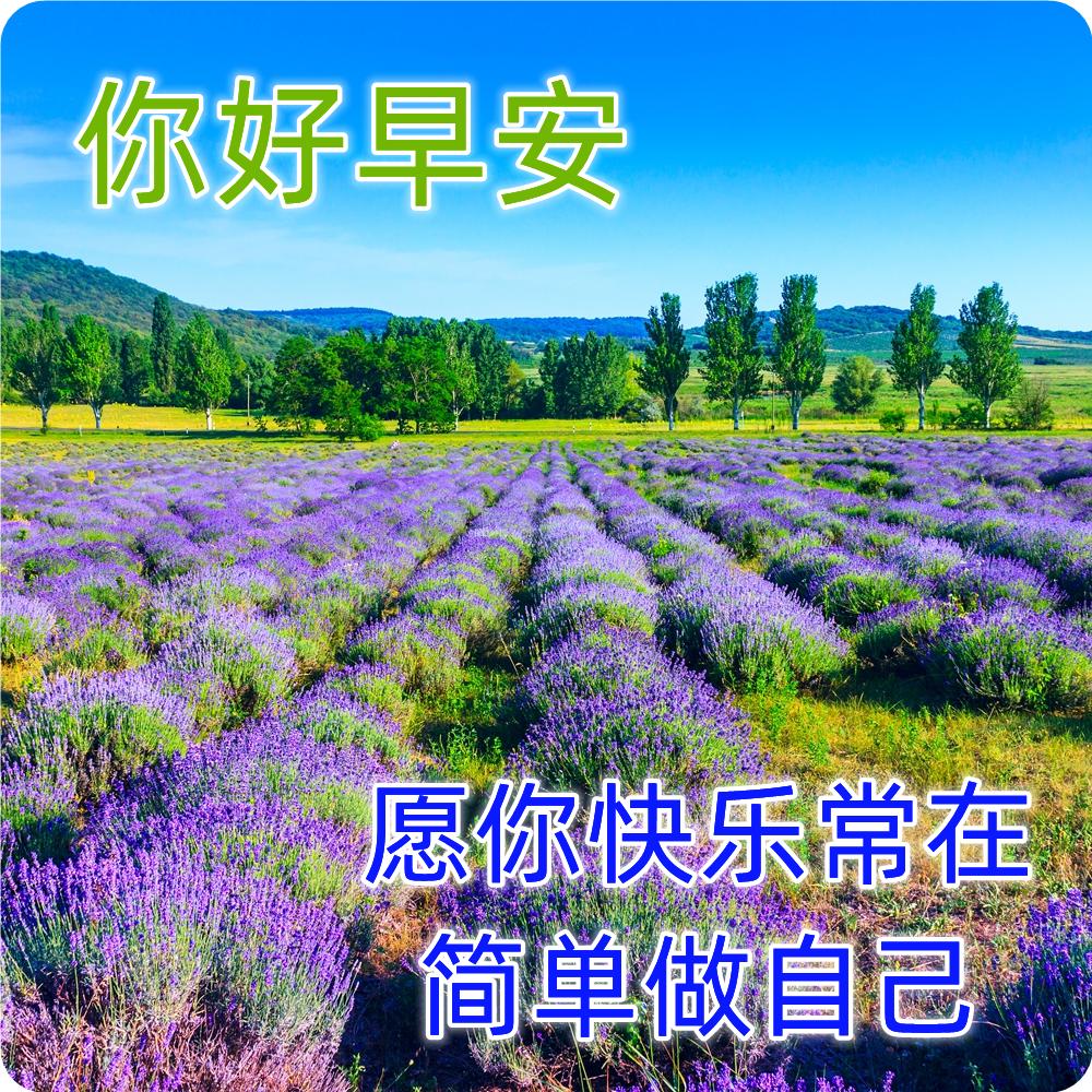 早上好最漂亮问候语动态表情图片,最美早安问候图片带字动态