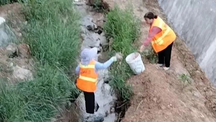 辛店镇持续开展路域环境整治行动,两城镇不断加大环境卫生整治力度