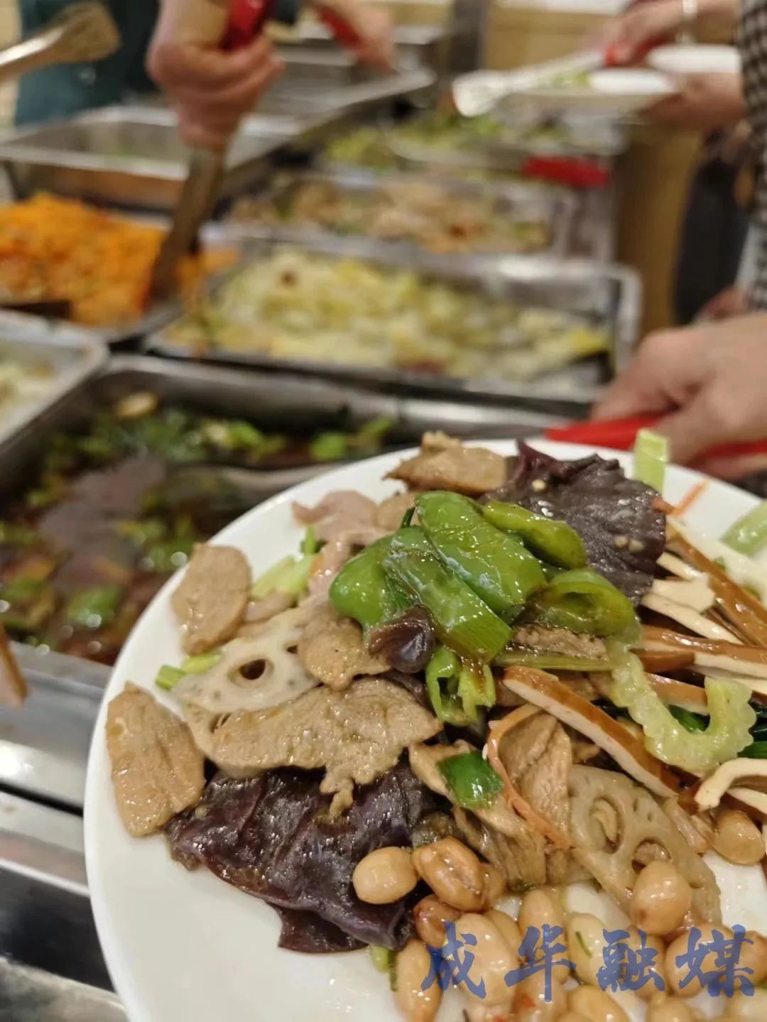 好吃不贵，请转给你的家庭群|成华融媒