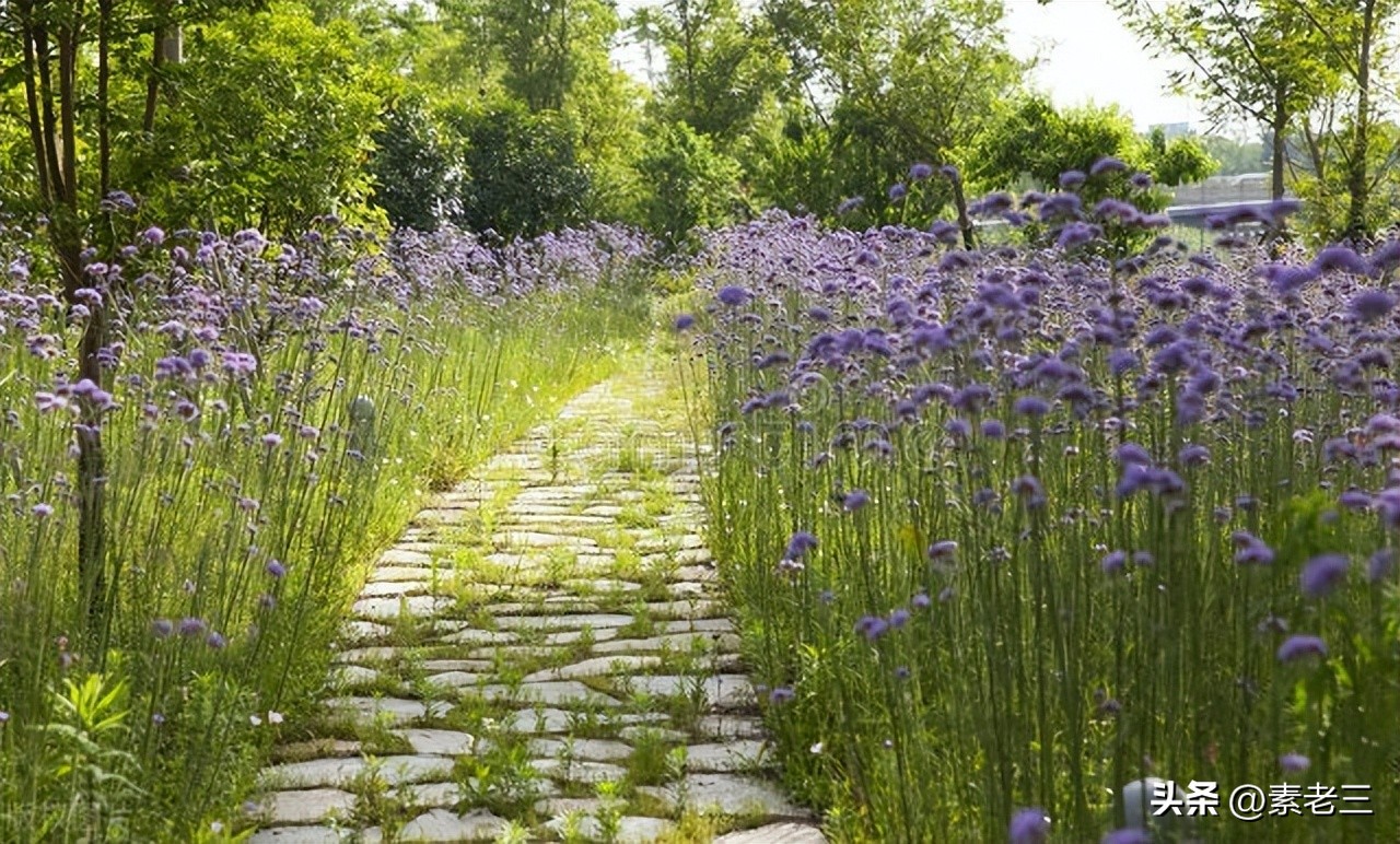 女作家去做保姆173,女作家去做保姆906