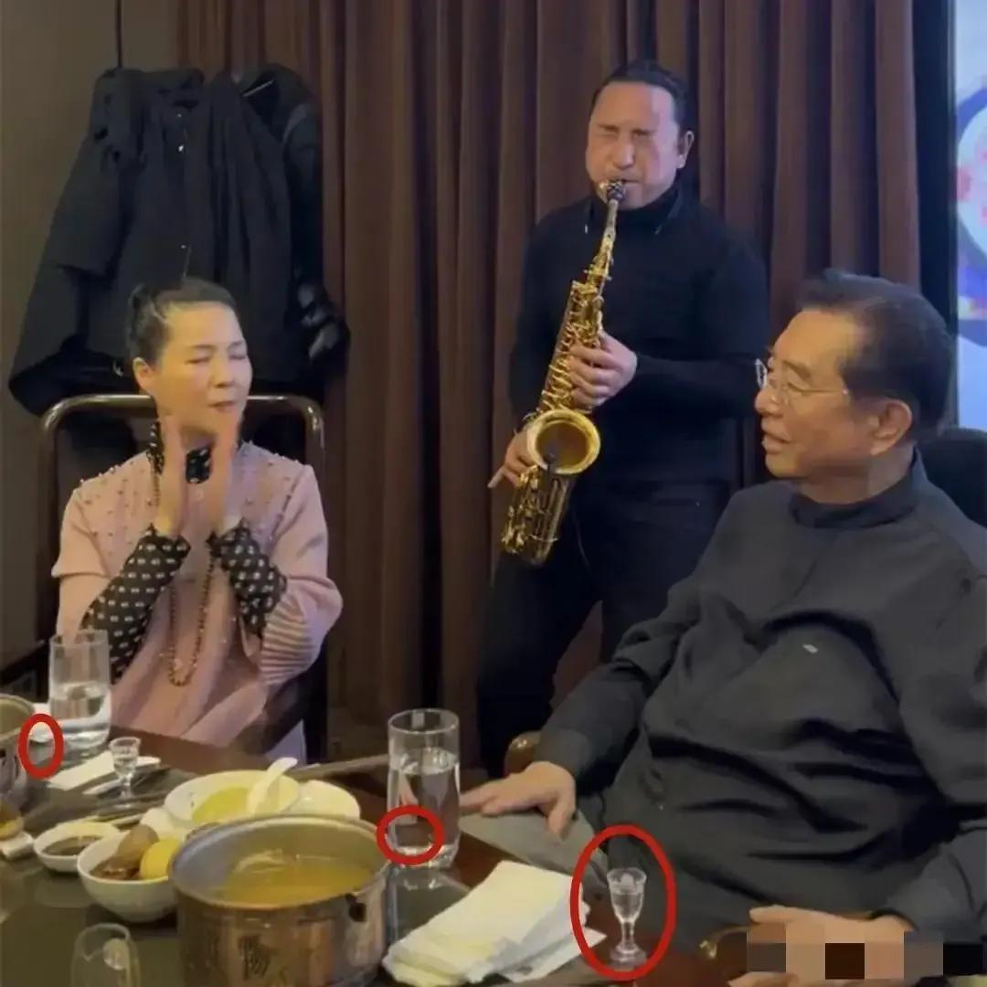 李双江收入过亿吗,李双江的养老金多少