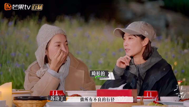 苏诗丁和卢歌再见爱人结局,再见爱人2苏诗丁和卢歌复合了吗