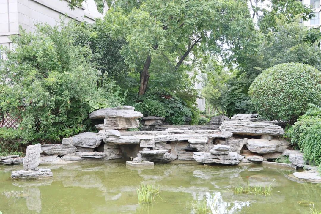 金科王府物业服务怎么样,金科王府小区品质