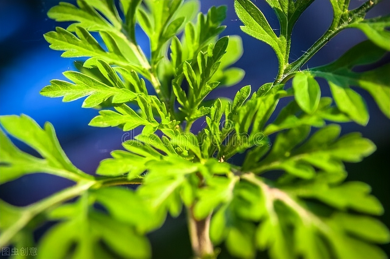 中国影响世界十大杰出发明创造,2021年我国科技有哪些重大成就