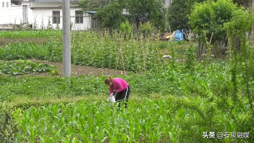 乡村振兴看大田围村,乡村振兴看永兴花海