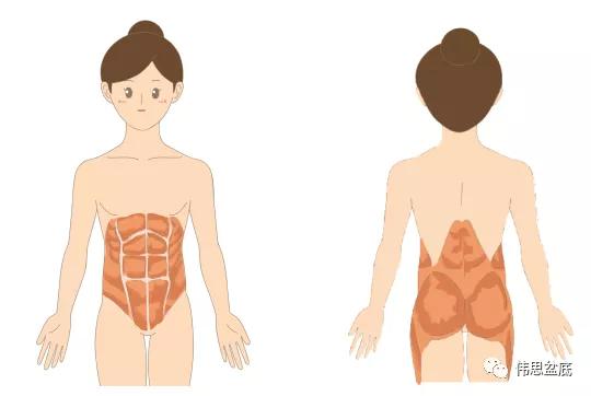 错误训练加重体态问题,错误的训练导致什么问题