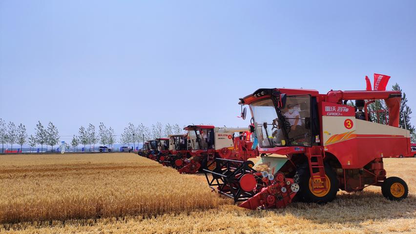 减出亿斤粮！潍柴雷沃以机收减损促颗粒归仓