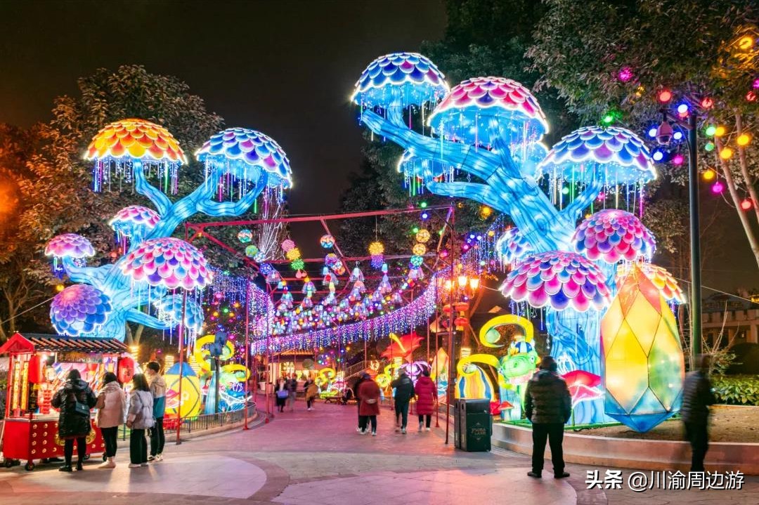 成都过春节旅游攻略,成都适合看夜景的旅游地点