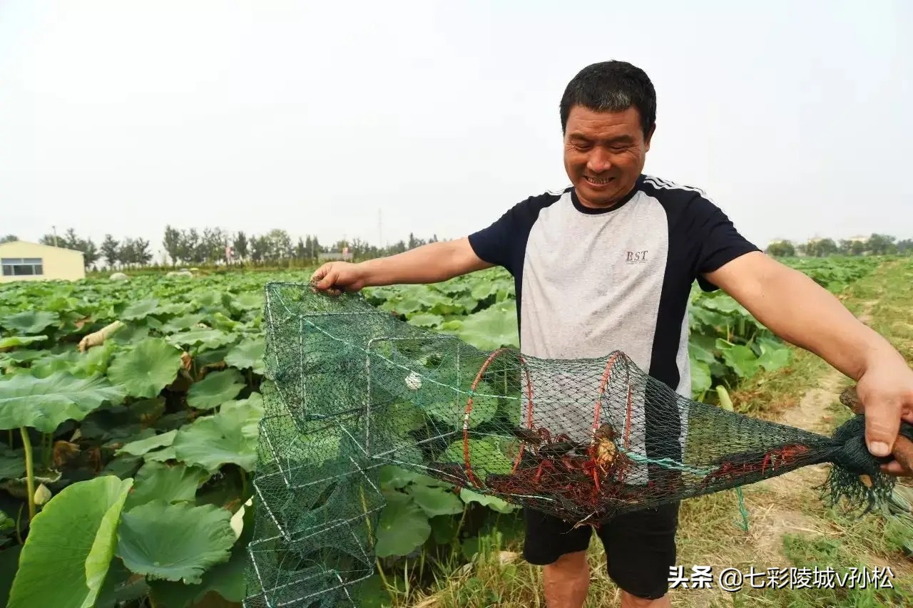 德州陵城东方,德州陵城智圣故里