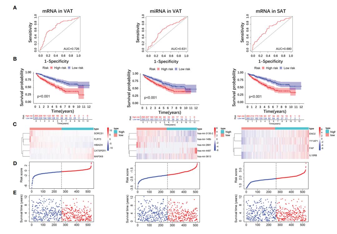 sci论文化繁为简,sci速成手把手教你写