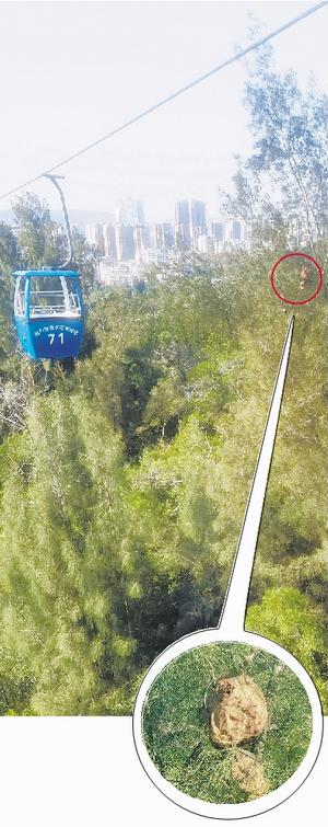 厦门钟鼓索道危险吗,厦门钟鼓索道下沉
