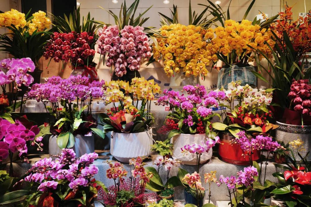 没想到有一天，在菜场被馋哭