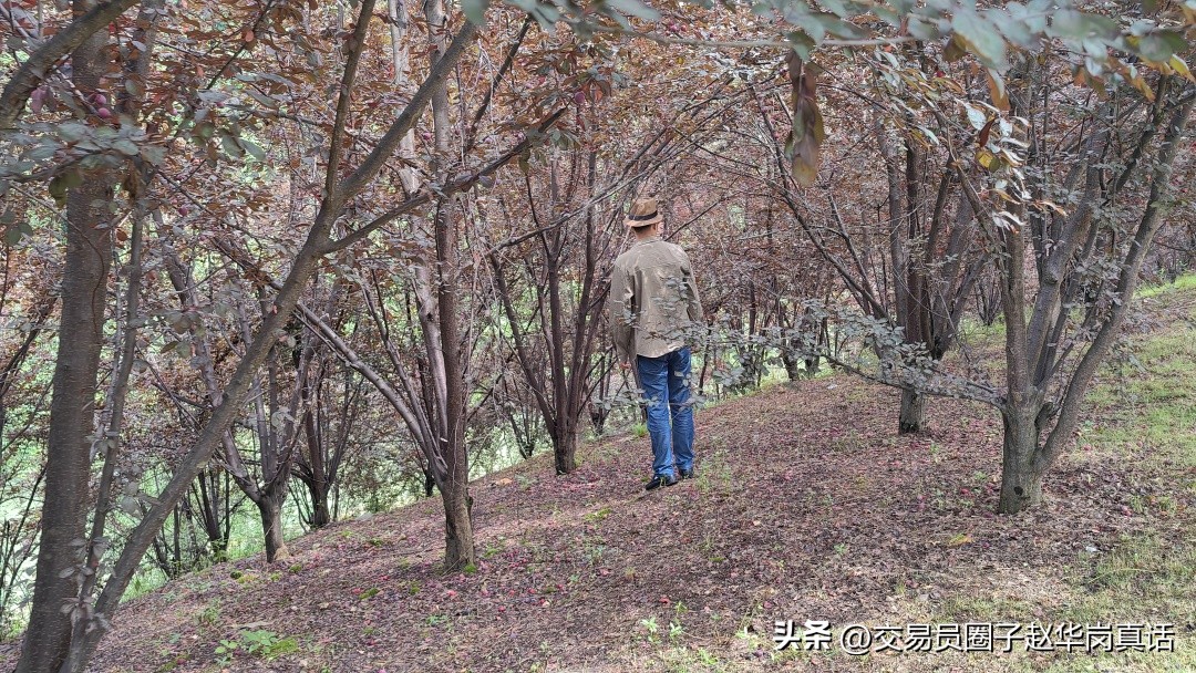 我的交易策略完整版,我的交易方法