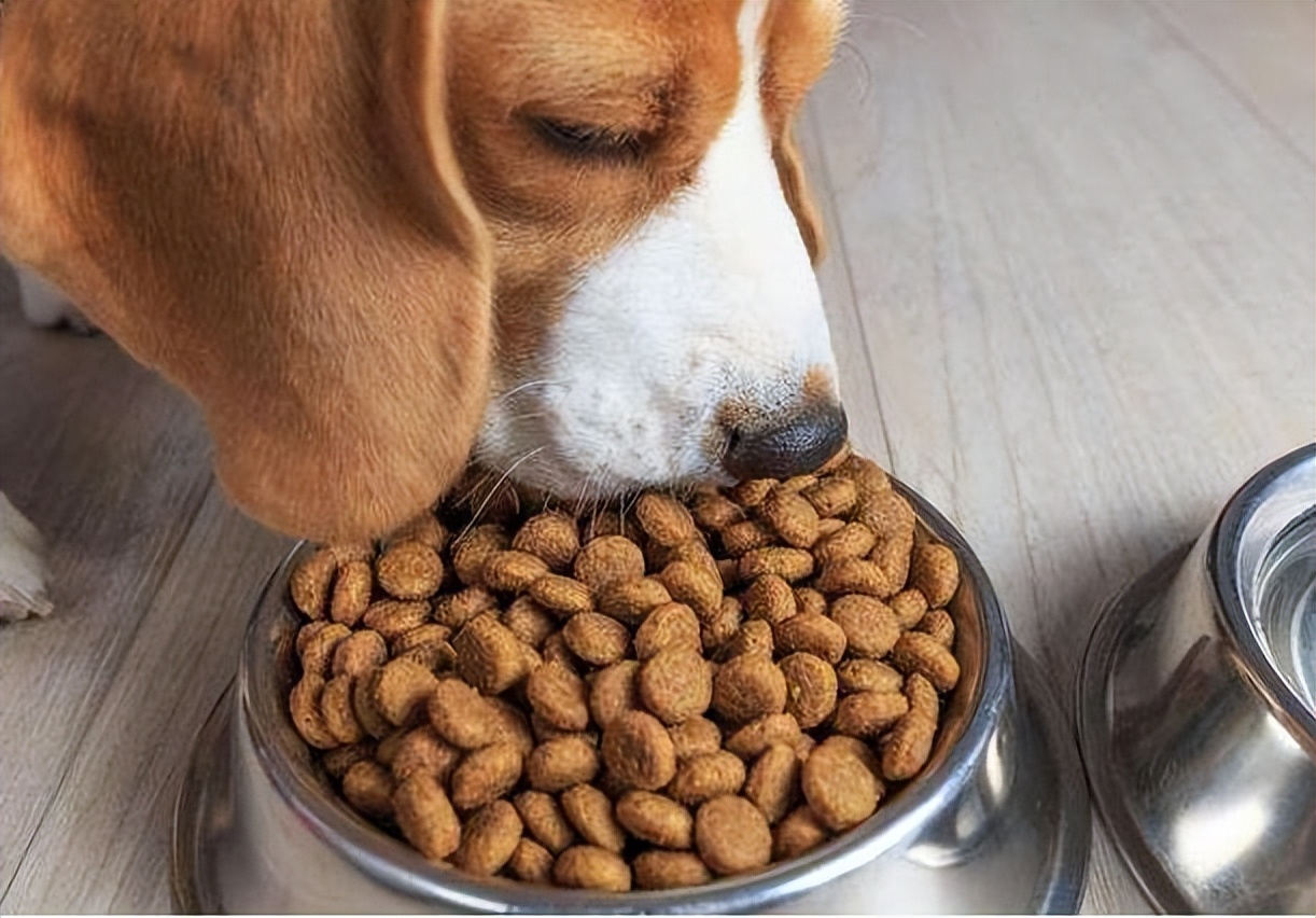 国产狗粮良心推荐排行榜第一,十大口碑最好的国产狗粮