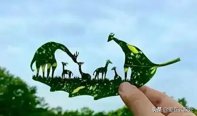 生活的美在于点点滴滴的发现,善于用双眼发现生活中的美